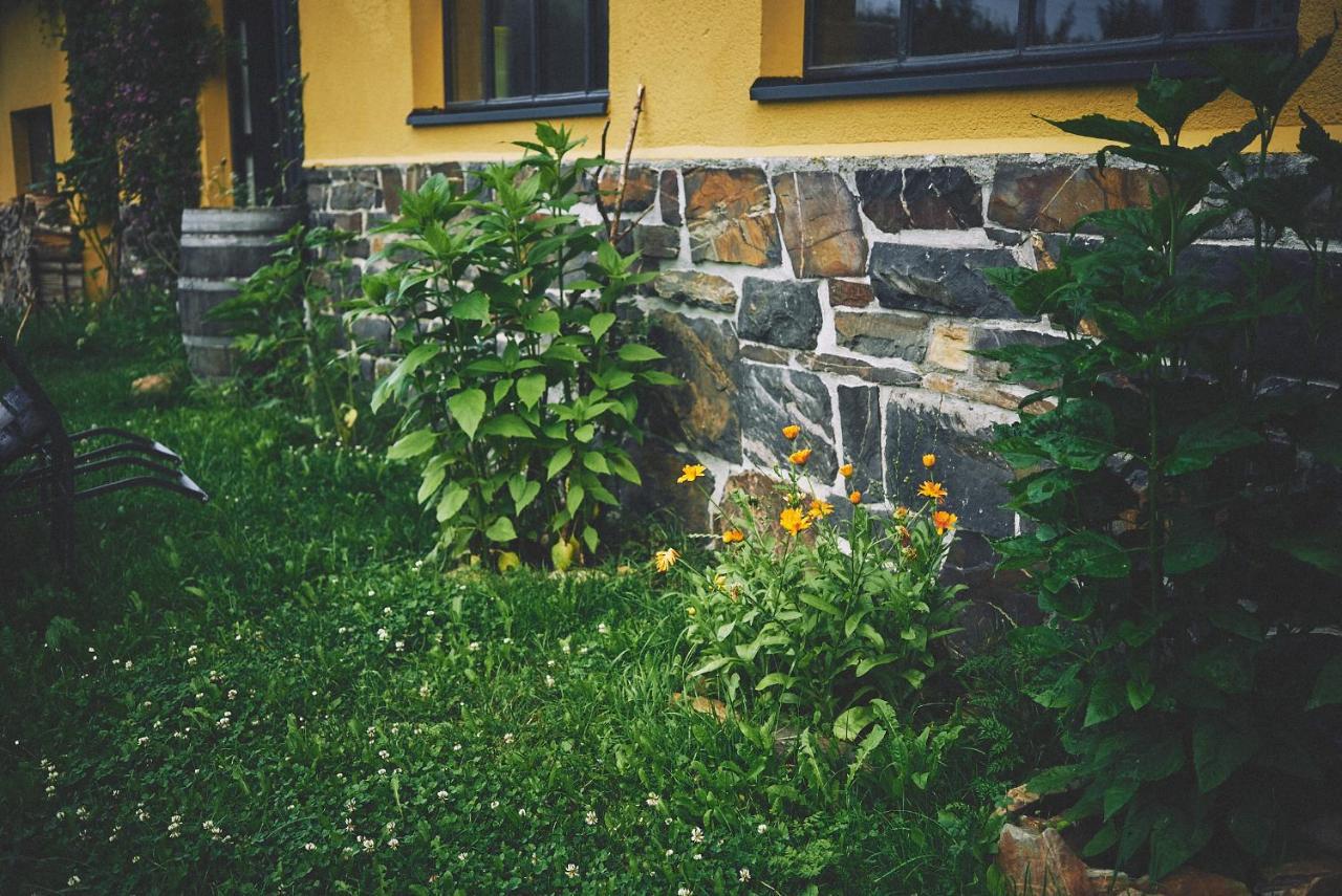 Blickinsfreie Apartment Schoeneck  Bagian luar foto
